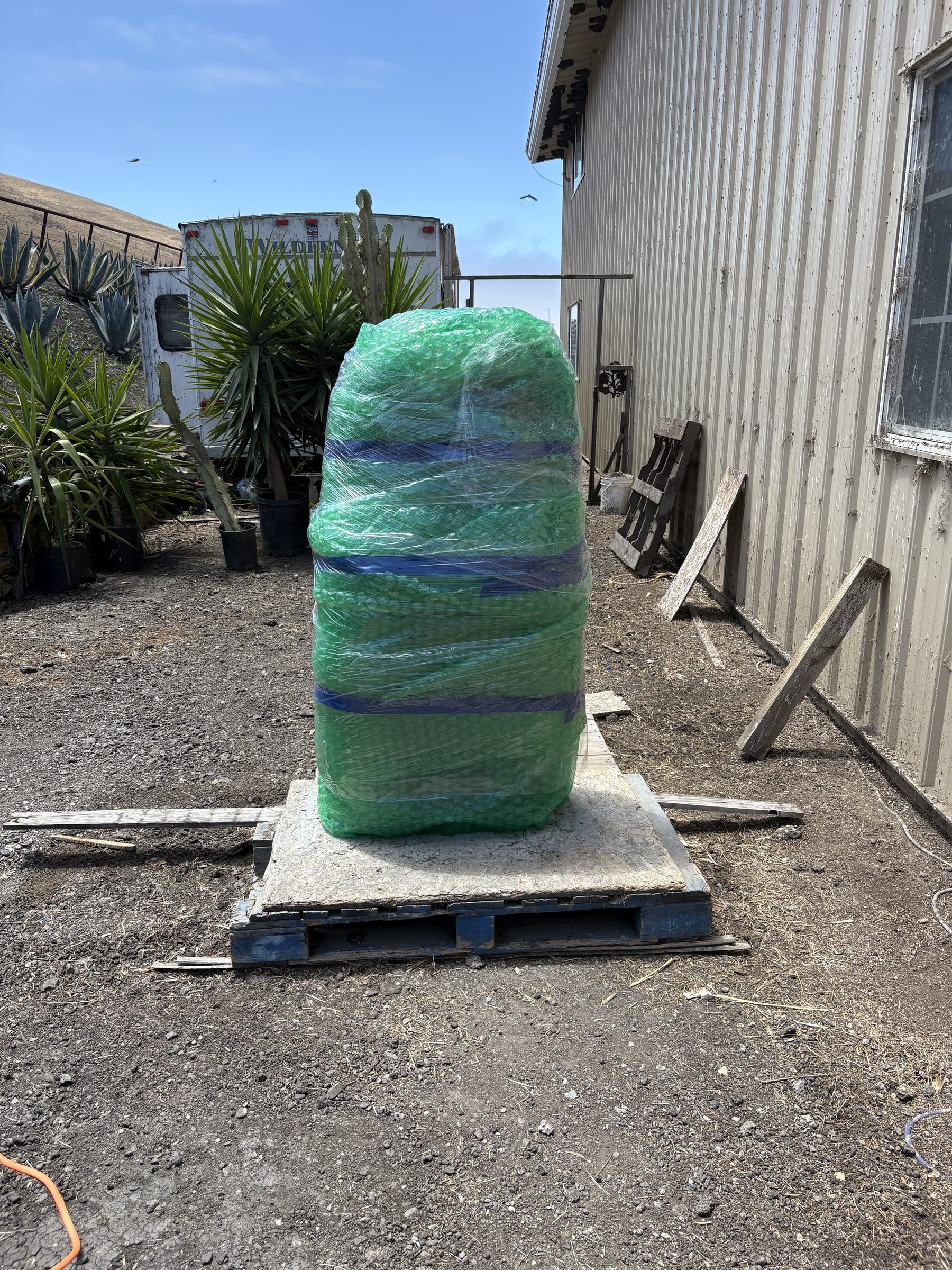 Sacred Monster, Cayucos, June 2026