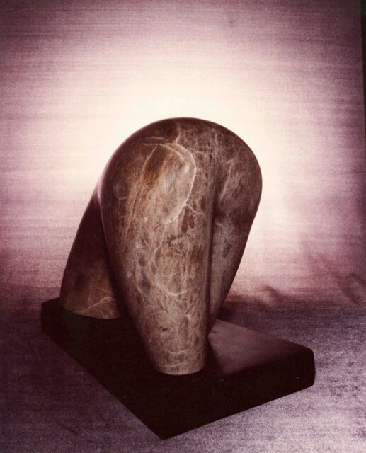 Torso